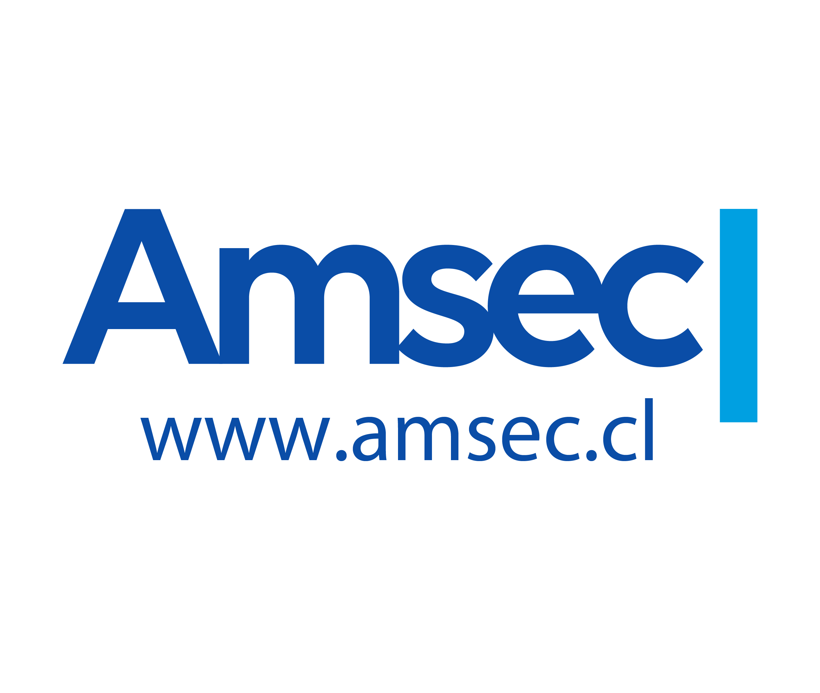 AMSEC · www.amsec.cl